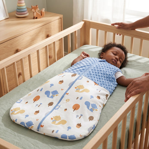 Baby Lilo Printed Baby Sleeping Bag