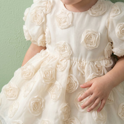 Baby Lilo Floral Big Bow Girls Dress