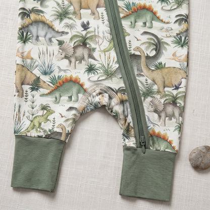 Jungle Dinosaur Baby Zip Romper