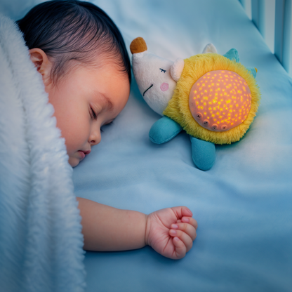 Baby Lilo Hedgehog Sleep Soother