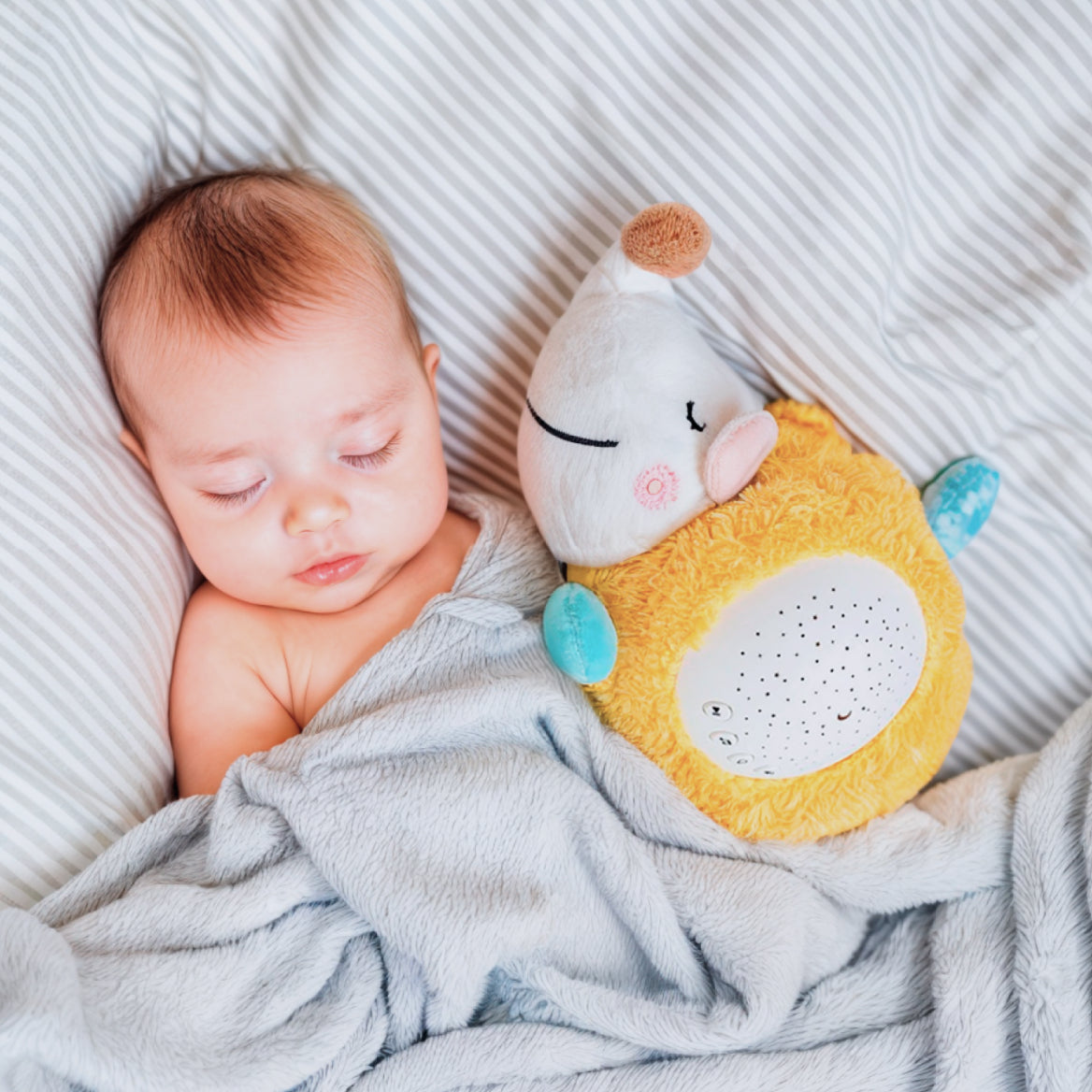 Baby Lilo Hedgehog Sleep Soother